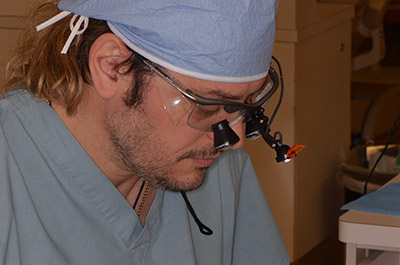 Meet Dr. Boeriu